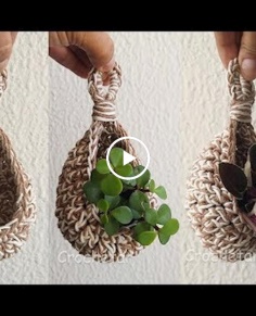 Crochet Plants Nest Free Pattern