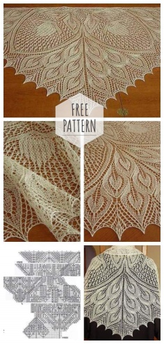 Shawl Crochet Free Pattern
