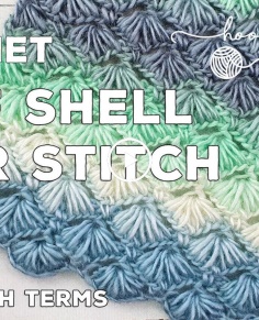 Crochet Puff Shell Star Stitch (Great for Scarves or Blankets) | Stunning Textured Stitch