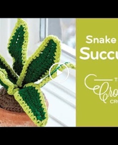 You will be very surprised when you see this crochet (Crochet Snake Plant)