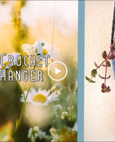 Simple Crochet Plant Hanger  ??