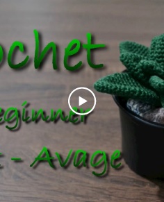 Crochet for Beginner : Plant 001 - Agave