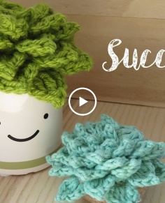 Crochet Succulent Echeveria Plant