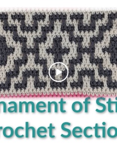 Tournament of Stitches Crochet Section 1    Right Handed
