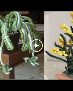 Indoor crochet plants designs home decor flowers designs