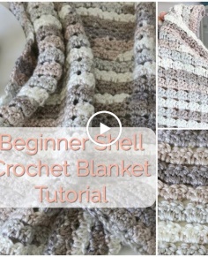 Beginner Shell Crochet Blanket Tutorial